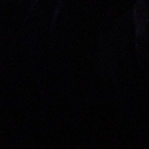 Meet your Posher, Liz